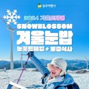 승우여행사 - 중구 충장대로5번길 12 | 승우여행사