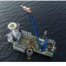 First Farm 이미지