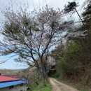 초방리 농장 이미지