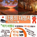 럭키관광여행사 이미지