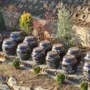 동심(童心)2 이미지