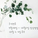 캣츠속눈썹