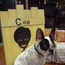 주주클럽 이미지