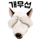 지니펫살롱 이미지