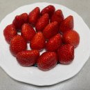 호남청과 | [광주] 싱싱한 딸기 구매는 무조건 호남청과에서!