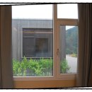 코코앤망고 이미지