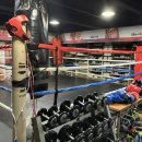 용인대The Best복싱클럽 이미지