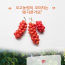 커피빈스(전곡점) 이미지