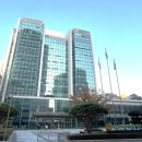 농협중앙회·농협경제지주, 금융지주, 집행간부·본부장 인사 이미지