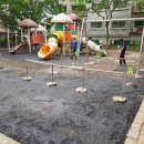 성호어린이공원 이미지