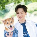 아론(주) 이미지