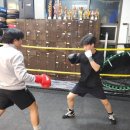 용인대NEW복싱 이미지