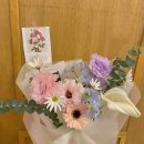 플레르퍼피 이미지