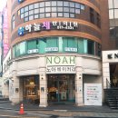 바울플라워