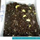 대박농장2 이미지