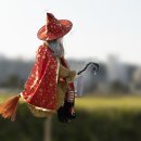 수아비 - 평택시 | 수아비
