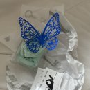 먀우네 | eee.space 이스페이스 시계 착용 후기 2 DIA watch/space watch(b-grade)