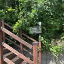 양덕중앙 홈런공원 | 창원 마산 중앙공원 홈런정원 NC파크 근처 창원 아이와 가볼만한 곳 반월산 등산 키즈야구장 어린이놀이터