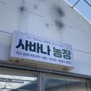 세은 2농장 네이버블로그