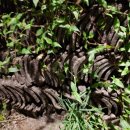 성덕동-8 이미지