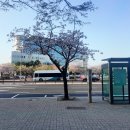 정부합동청사 | 인천 공항 인근 인천 정부합동청사에 있는 저렴한 숙소 숙박 한옥가