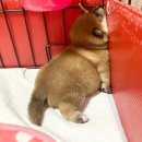 나누리스토어 이미지