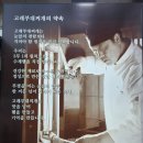 고래들공원 | 오창밥집 방부제 없는 수제햄 고래부대찌개 오창본점 솔직후기
