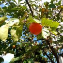 계화중학교 이미지