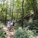 휘닉스호텔 이미지