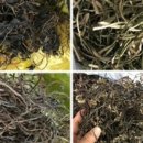 본욱농장 이미지