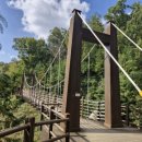 임학공원 출렁다리 이미지