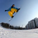 베어스 타운 이미지