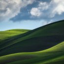 자연의꿈 이미지