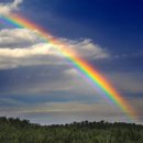 일곱빛깔무지개유치원 이미지