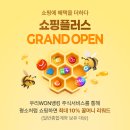 쇼핑플러스