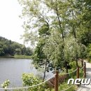 성곡제 이미지