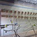 남해목장 이미지