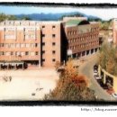 상명초교 이미지