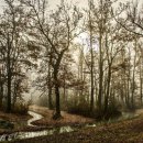 생명의 그물 1 이미지