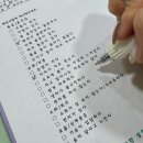 셀스테틱 부산서면점 | 전포 페이디에스테틱 서면 신부관리 부산 원탑 수기관리 후면전신관리 솔직 추천후기