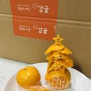 쥬쥬네 미깡밭 이미지