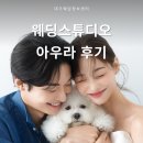 [대구웨딩스튜디오추천] 배경화면으로 쓰고 싶은 아우라스튜디오 촬영 후기