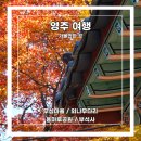 강물이 흐르는 곳 앞 간이화장실 | [영주 여행] 가볼만한 곳 :: 무섬마을 / 외나무다리 / 용마루공원 / 부석사