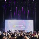 롤링버니즈 이미지