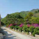 보개산장 이미지