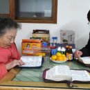 승리농산 Daum카페