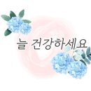 토지박사공인중개사사무소 이미지