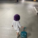 투앤디 썰매수영장 | 의정부 투앤디 수영장 취사가능 평상 25개월 아기 물놀이 후기