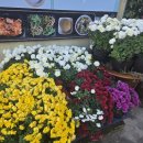 늘푸른염소농장 이미지