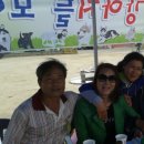 홍천초등학교 Daum카페